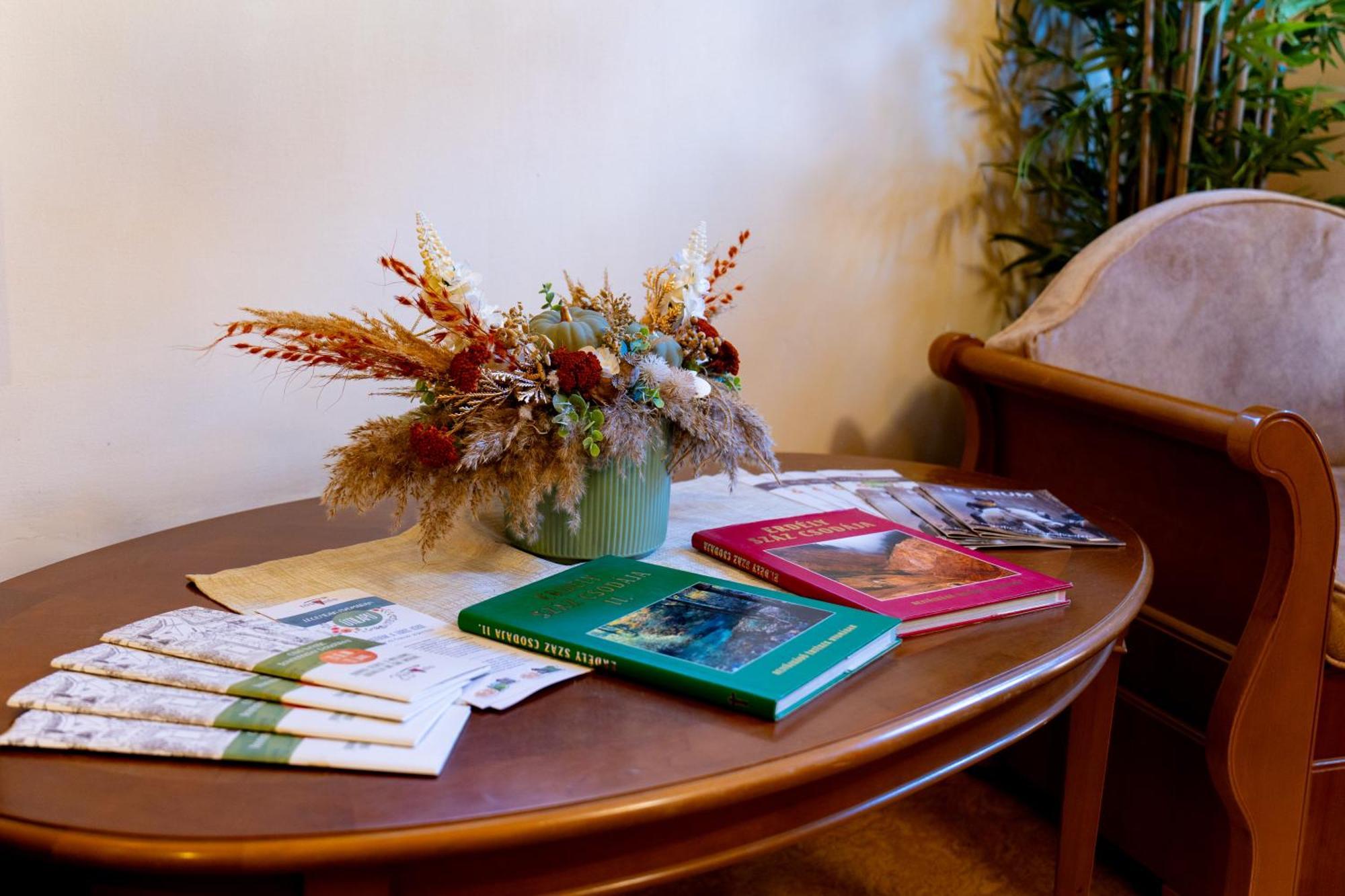 Hotel Lilla Panzio Odorheiu Secuiesc Zewnętrze zdjęcie