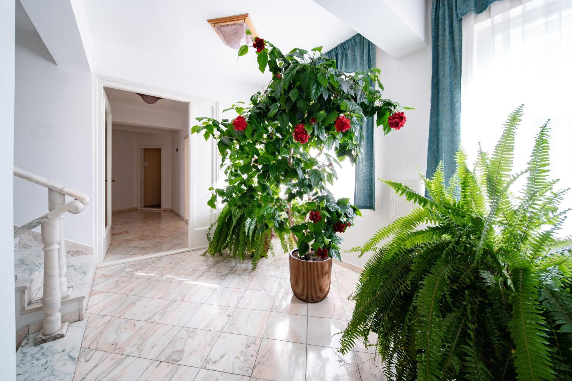 Hotel Lilla Panzio Odorheiu Secuiesc Zewnętrze zdjęcie