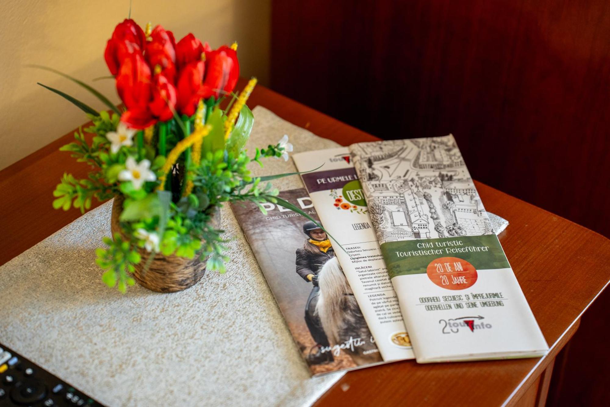Hotel Lilla Panzio Odorheiu Secuiesc Zewnętrze zdjęcie